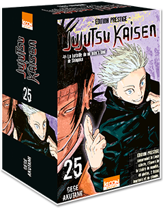 Jujutsu Kaisen T25 Prestige