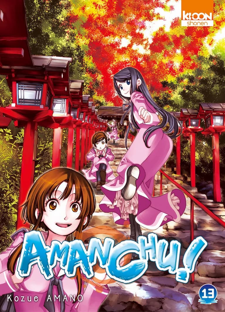 Volume 13